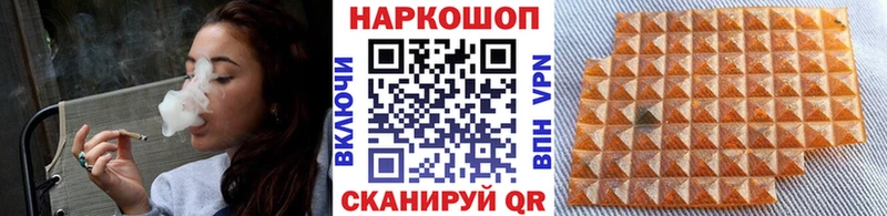 Где продают наркотики Североморск Галлюциногенные грибы  Меф  ГАШ  Канабис  COCAIN  Амфетамин 