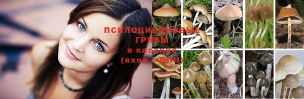 круглые Покров